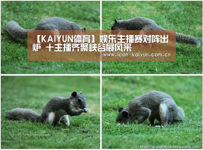 【KAIYUN体育】娱乐主播赛对阵出炉 十主播齐聚峡谷展风采(图1) 开云官网导航