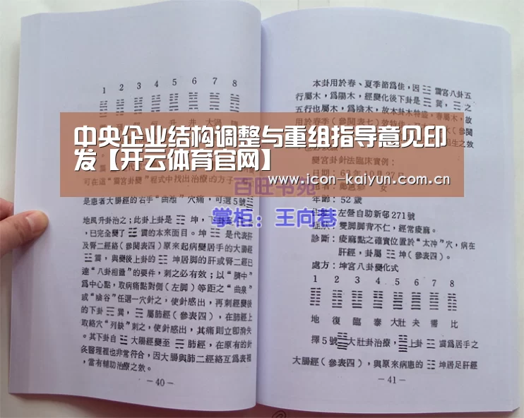 中央企业结构调整与重组指导意见印发【开云体育官网】