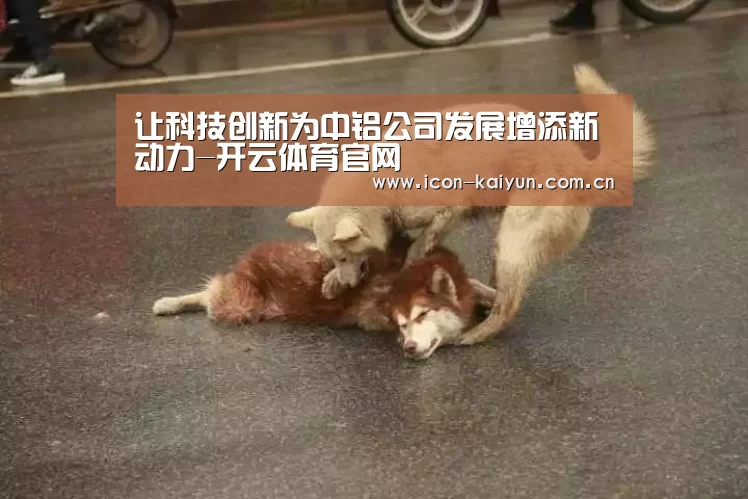让科技创新为中铝公司发展增添新动力-开云体育官网(图4) KAIYUN体育