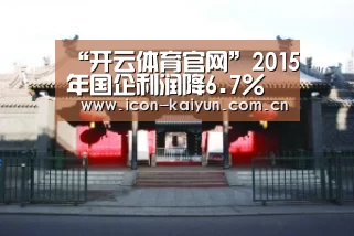 “开云体育官网”2015年国企利润降6.7% 钢铁有色亏损拖后腿(图2) 开云体育官网