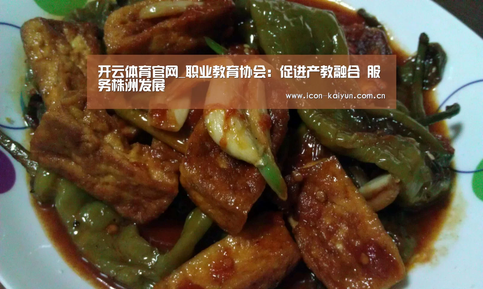开云体育官网_职业教育协会:促进产教融合 服务株洲发展(图1) 开云官方网站
