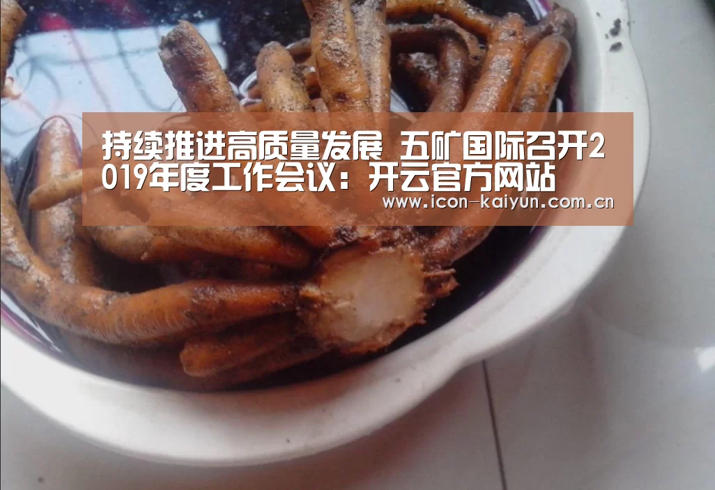 持续推进高质量发展 五矿国际召开2019年度工作会议:开云官方网站
