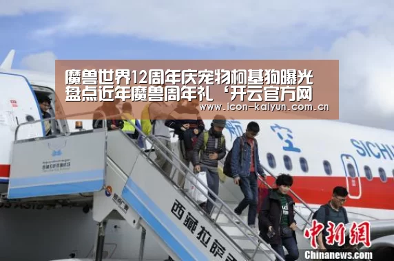 开云官网导航