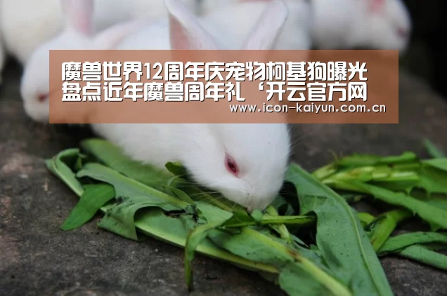 开云官方网站
