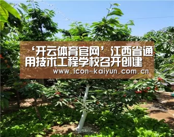 ‘开云体育官网’江西省通用技术工程学校召开创建“国家中等职业教育改革发展示范学校”动员大会(图3) 开云官网导航
