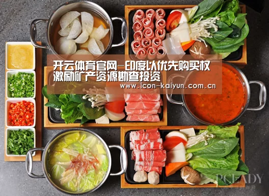开云体育官网-印度以优先购买权激励矿产资源勘查投资(图3) 开云官方网站