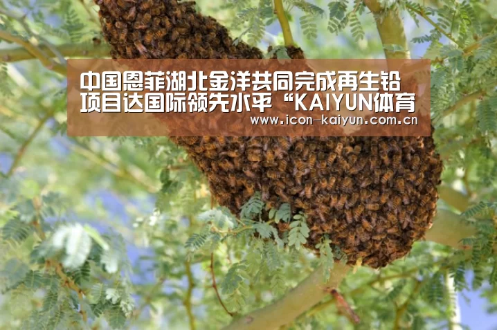 中国恩菲湖北金洋共同完成再生铅项目达国际领先水平“KAIYUN体育”(图3) 开云体育官网