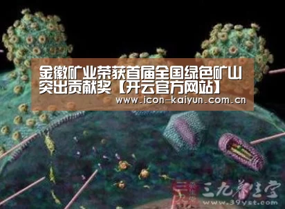 开云体育官网
