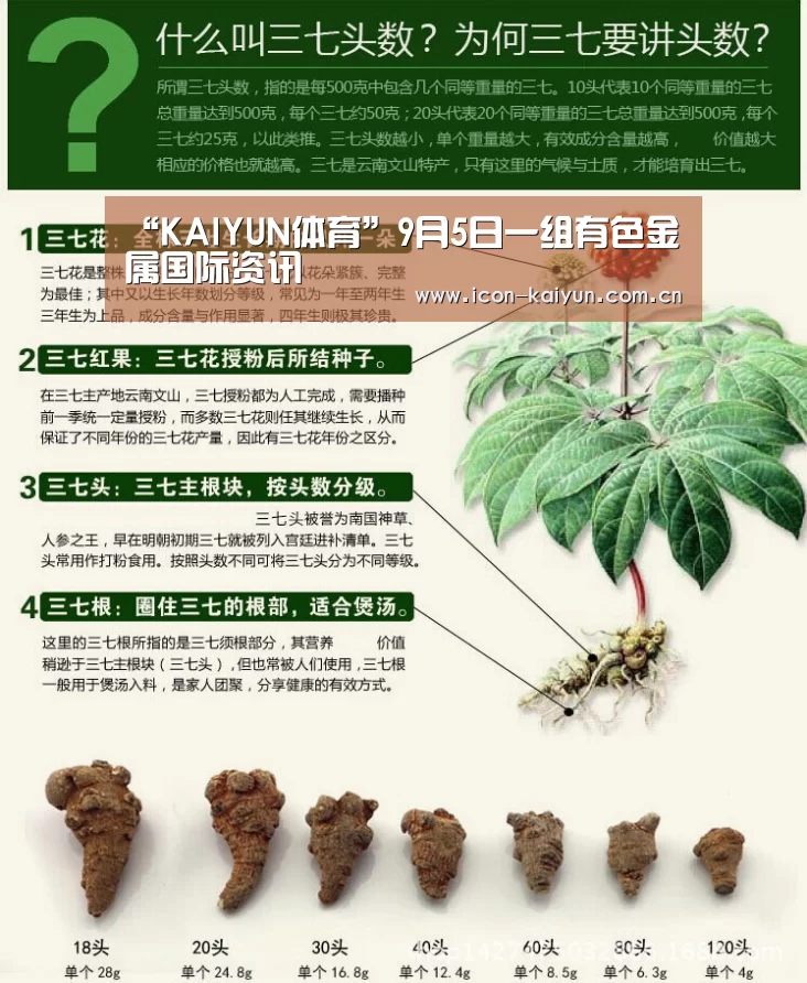 “KAIYUN体育”9月5日一组有色金属国际资讯