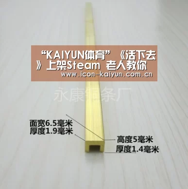 “KAIYUN体育”《活下去》上架Steam 老人教你花式自杀技巧(图2) 开云官方网站