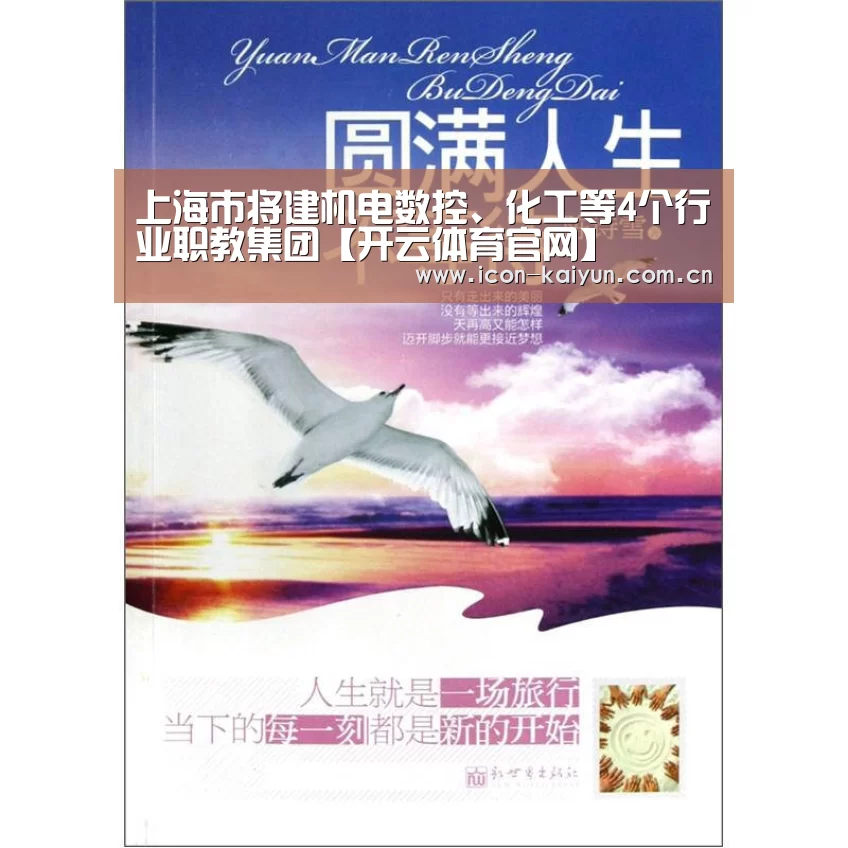 上海市将建机电数控、化工等4个行业职教集团【开云体育官网】(图1) 开云体育官网