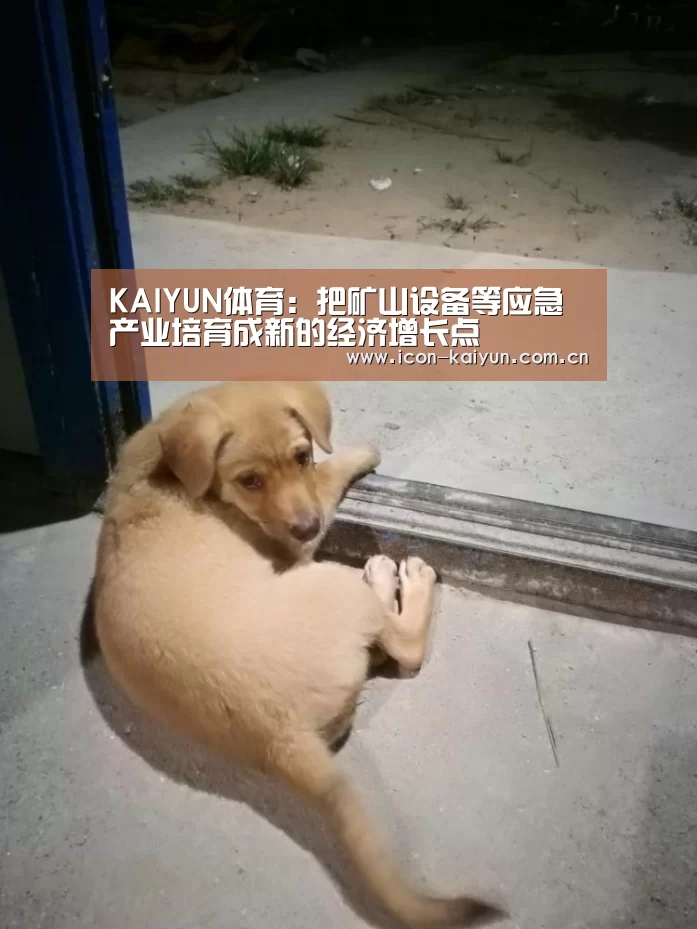 KAIYUN体育:把矿山设备等应急产业培育成新的经济增长点