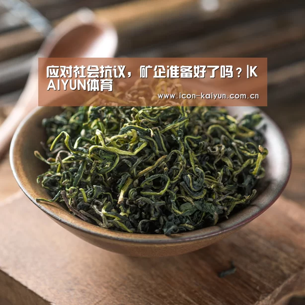 应对社会抗议,矿企准备好了吗?|KAIYUN体育